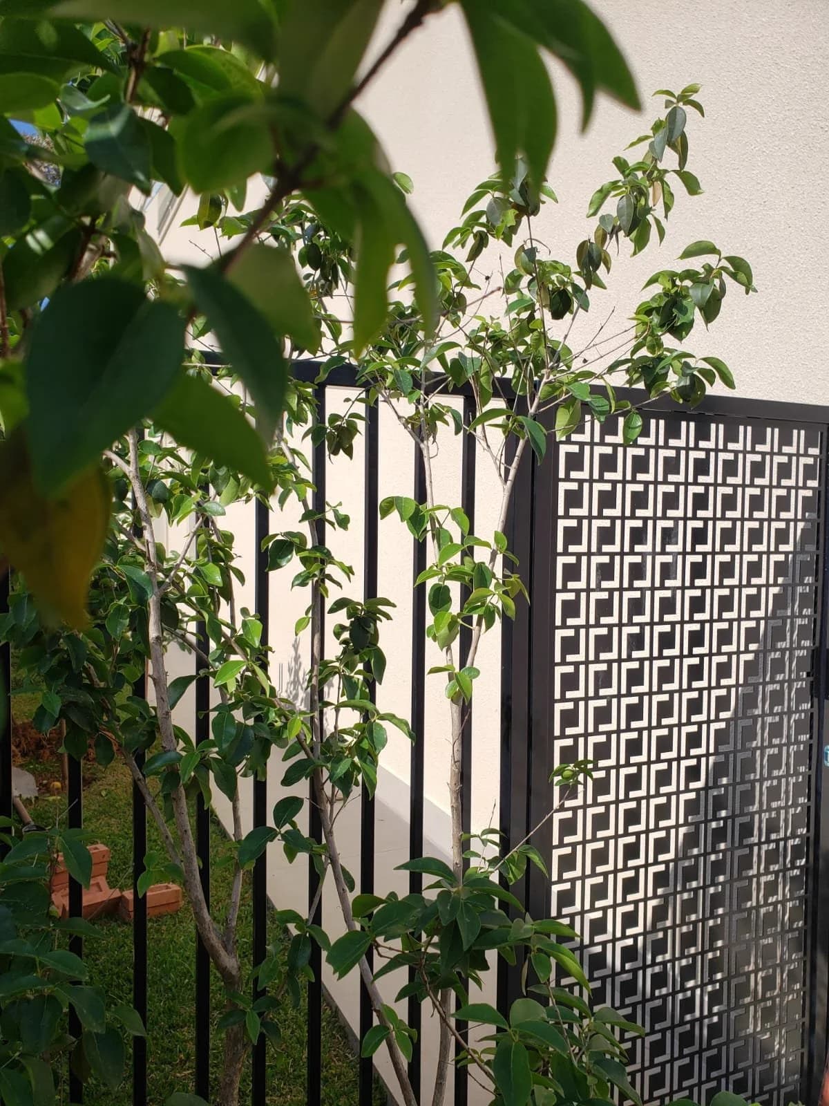 Exclusive gates category